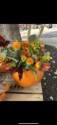 Pumpkin Arrangement 2