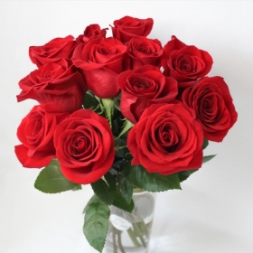 12 Red Freedom Roses